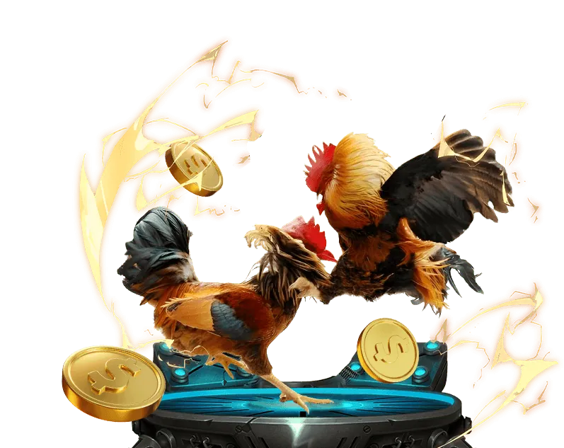 Hướng dẫn cá cược thể thao